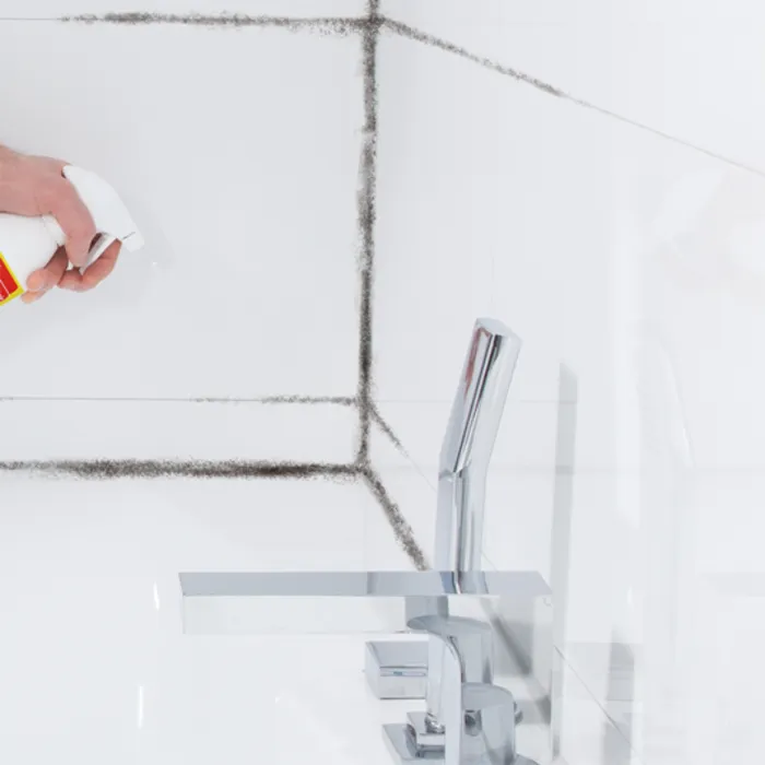 HG HG Schimmel- Vocht & Weerplekken reiniger - 500 ml