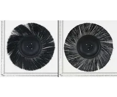 Einhell Gereedschap Reserve Borstel Set Veegmachine Einhell