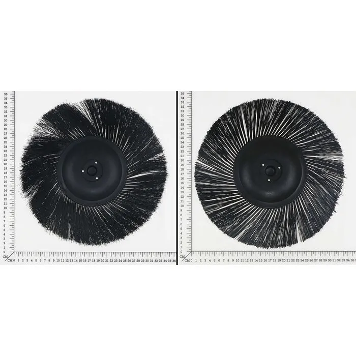 Einhell Gereedschap Reserve Borstel Set Veegmachine Einhell