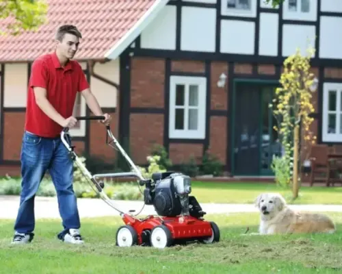 Welke verticuteermachine past bij mijn gazon?