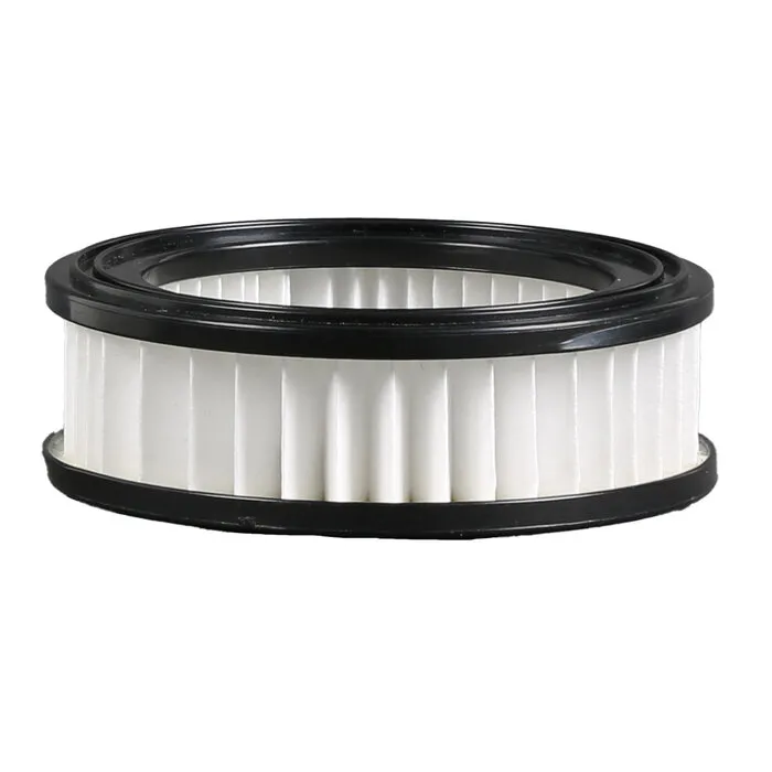 Einhell Gereedschap Einhell Luchtuitlaatfilter - 1 stuk  - TE-SV 18/270 Li BL