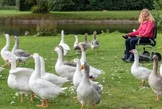 Beste Elektrische opvouwbare rolstoel - Getest door onze Elektrische rolstoel Experts