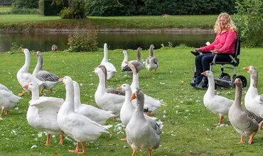 Beste Elektrische opvouwbare rolstoel - Getest door onze Elektrische rolstoel Experts