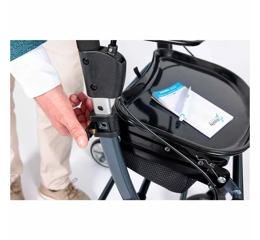 Indoor Luxe binnen Rollator 2.0