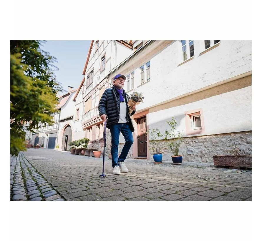 Wandelstok opvouwbaar Hurrycane