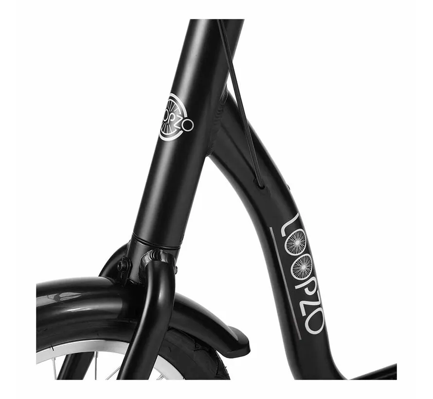 Loopfiets voor volwassenen met lage instap