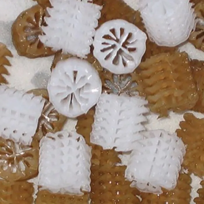 Biocarrier Helix 100 ltr