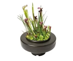 Floating Plant Basket 22 cm