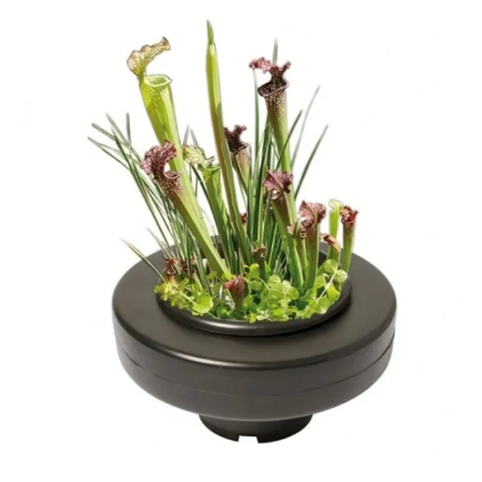 Floating Plant Basket  22 cm