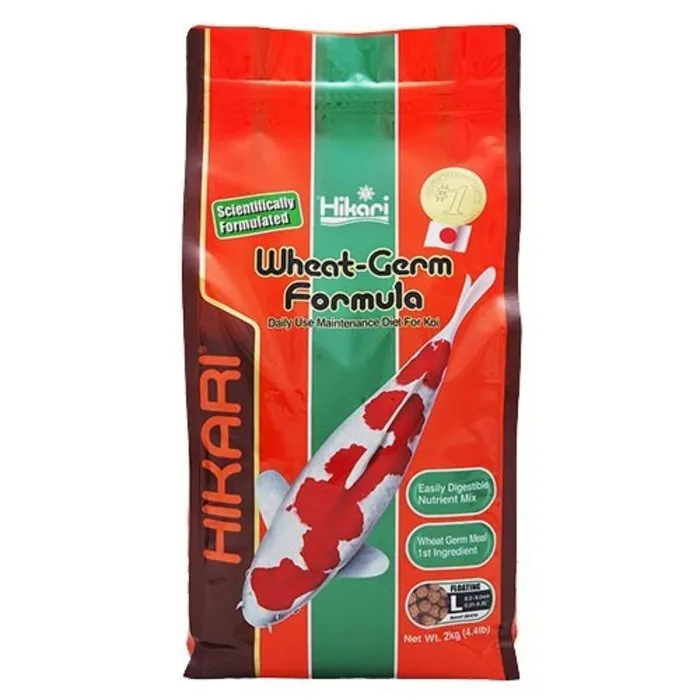 Hikari / Saki Hikari Hikari Wheat Germ Formula Large 2 Kg
