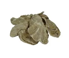 Air Aqua Japanse Oesterschelpen 5 KG