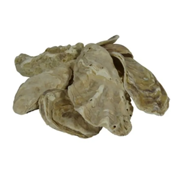 Air Aqua Japanse Oesterschelpen 5 KG