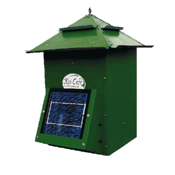 Koi Cafe Groen Met Zonnepaneel