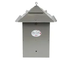 Koi Café Koi Cafe Metallic