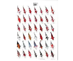 Koiposter nr 01 A4 Formaat