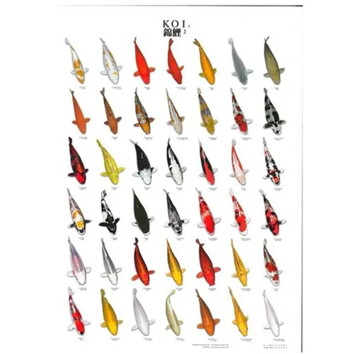 Koiposter nr 02 A0 Formaat