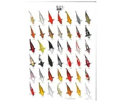 Koiposter nr 02 A4 Formaat