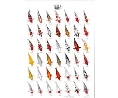 Koiposter nr 03 A0 Formaat