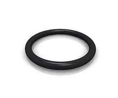 Losse O-Ring 25 mm