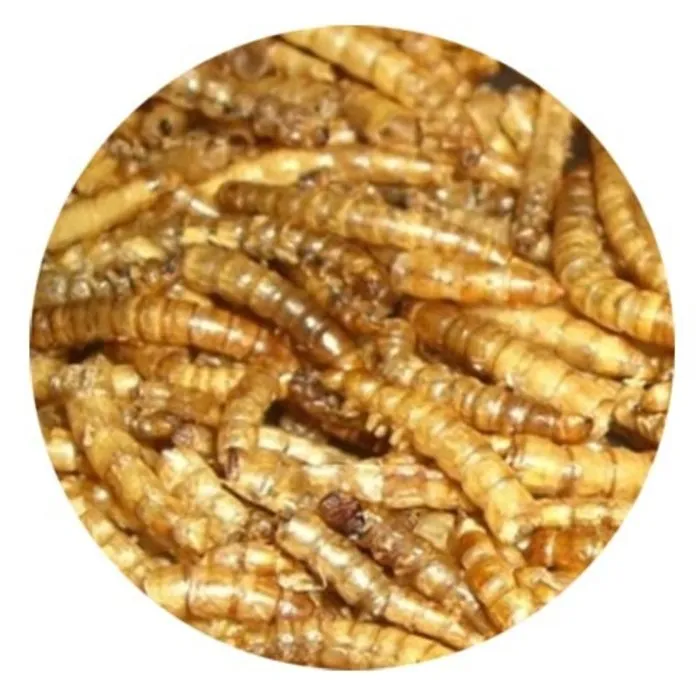 Natuurvoer Meelwormen 2,5 ltr