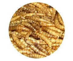 Natuurvoer Meelwormen 5 ltr