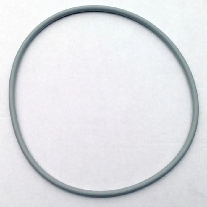 Aquaforte O-ring deksel Ultrabeadfilter