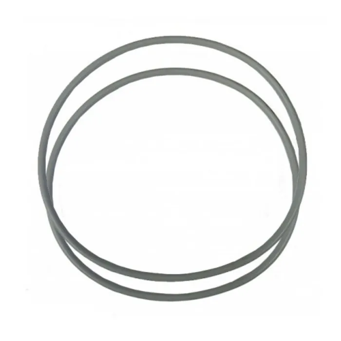 Aquaforte O-ring tbv afdichtingsring tank Ultrabead (2st)