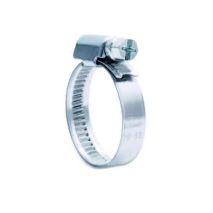 Slangklem RVS 12 - 22 mm