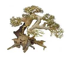 Superfish Superfish Bonsai Driftwood Large