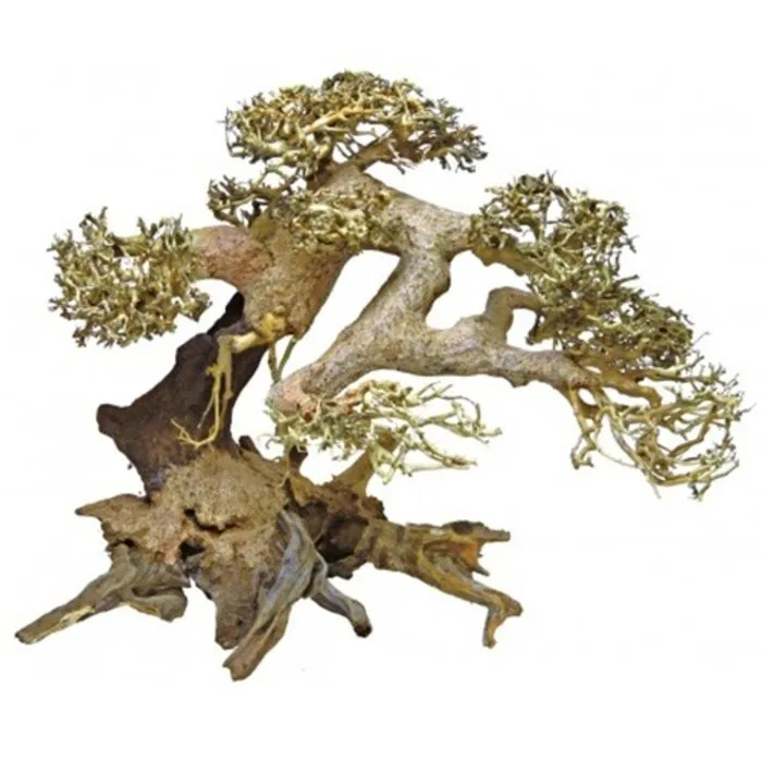 Superfish Superfish Bonsai Driftwood Large