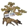 Superfish Superfish Bonsai Driftwood Medium