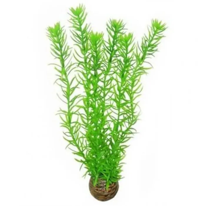 Superfish Superfish Easy Plant Hoog 30 cm Nr 1