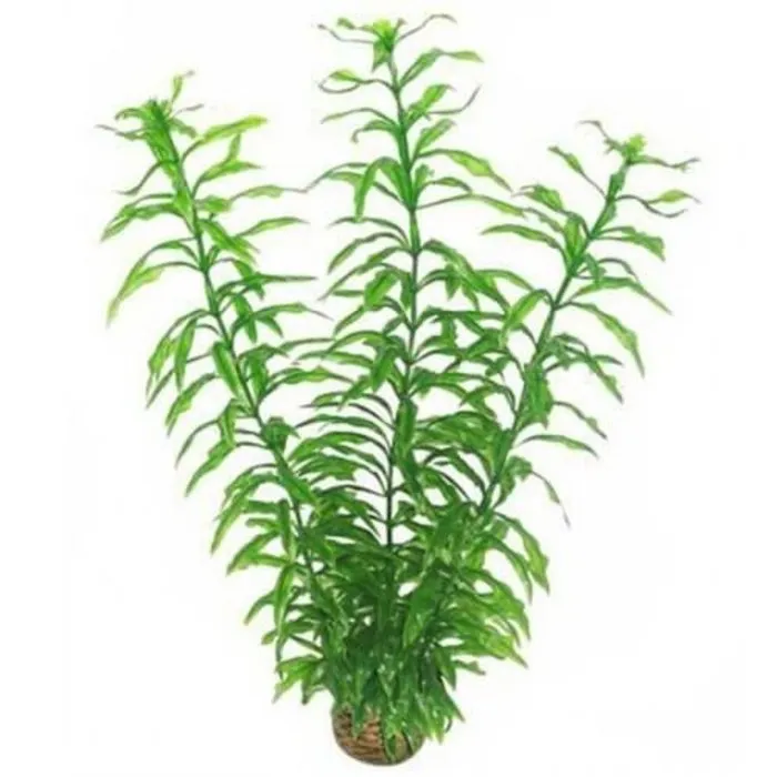 Superfish Superfish Easy Plant Hoog 30 cm Nr 2