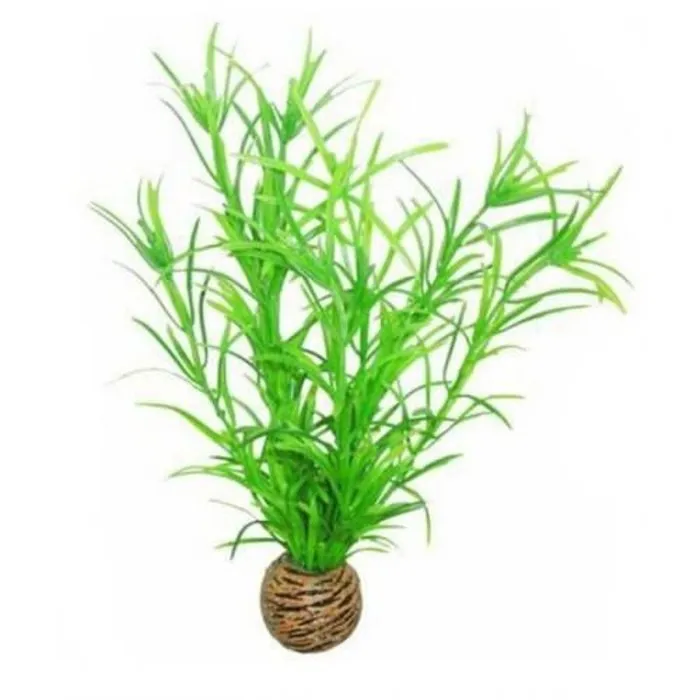 Superfish Superfish Easy Plant Middel 20 cm Nr 3