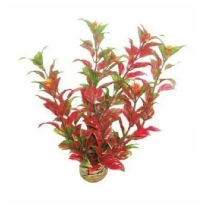 Superfish Superfish Easy Plant Middel 20 cm Nr 6