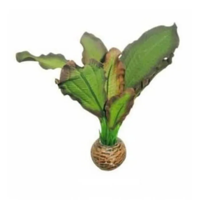 Superfish Superfish Easy Plant Laag 13 cm Nr 3