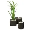 Superfish Superfish Flexi Plant Basket Ø 25 x 20 cm