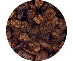 Natuurvoer Zijderupsen 2,5 ltr