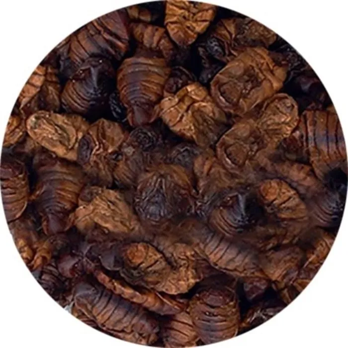 Natuurvoer Zijderupsen 5 ltr