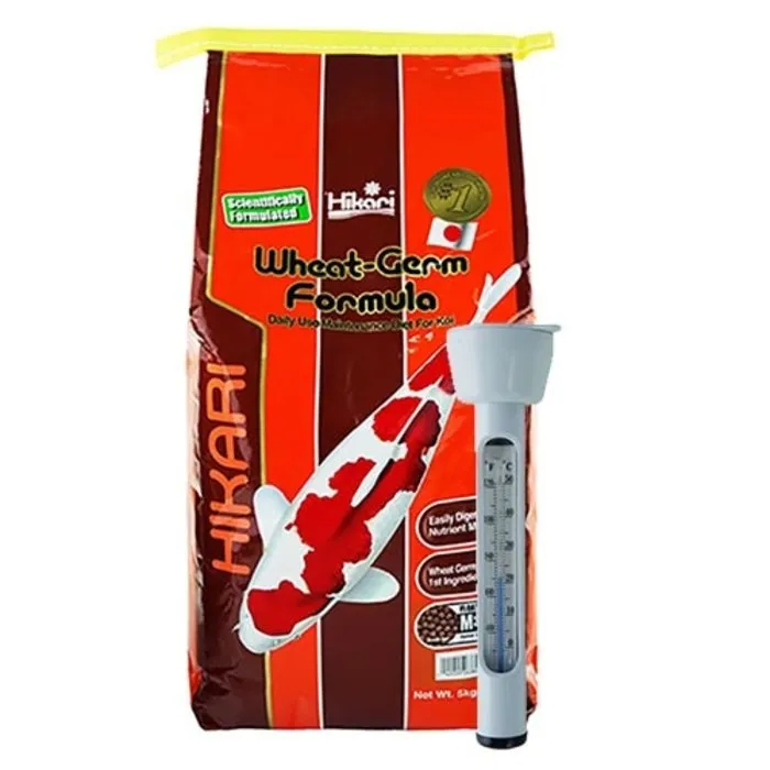 Hikari / Saki Hikari Hikari Wheat Germ Formula Medium 5 KG en Thermometer