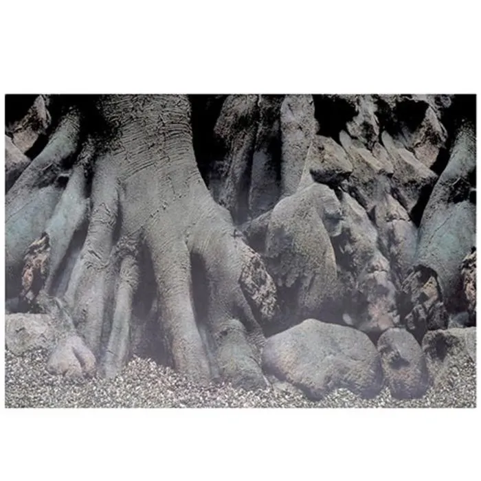 Superfish Superfish Deco poster D1 60x30 cm