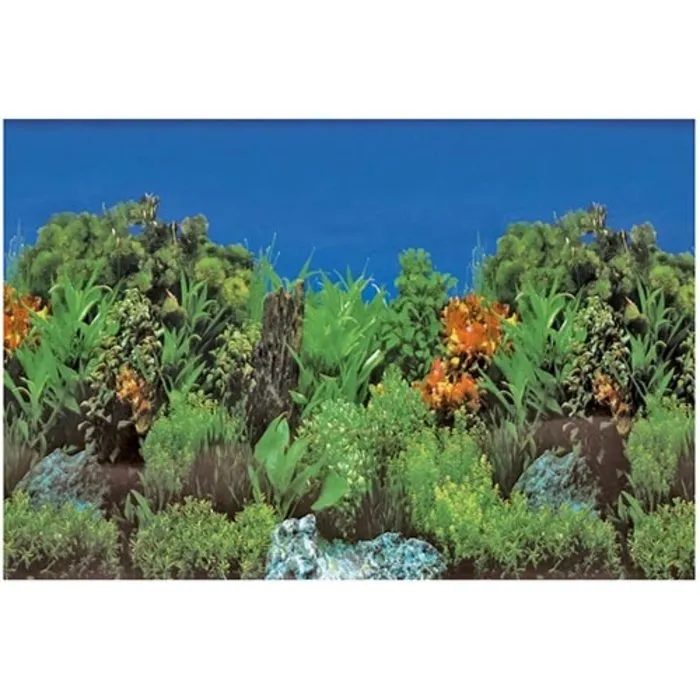 Superfish Superfish Deco Poster B5 120x61 cm