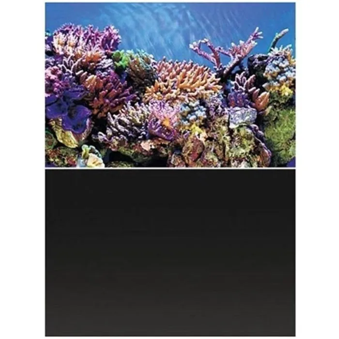 Superfish Superfish Deco Poster A2 60x49 cm