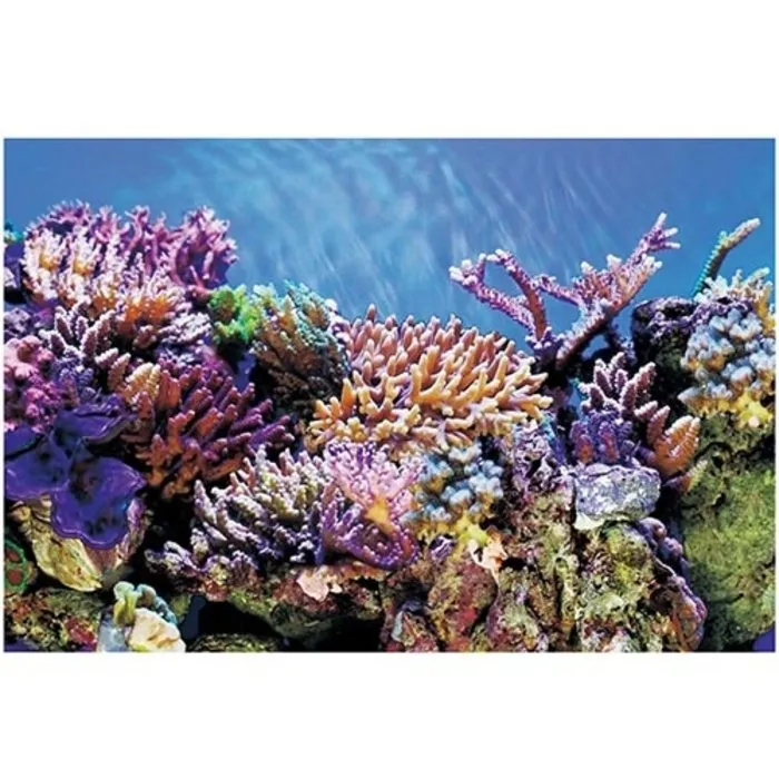 Superfish Superfish Deco Poster A2 60x49 cm