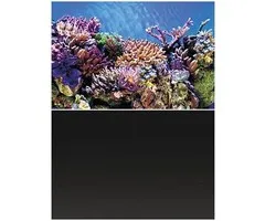 Superfish Superfish Deco Poster A3 100x49 cm