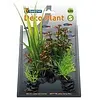 Superfish Superfish Deco Plant S Rotala