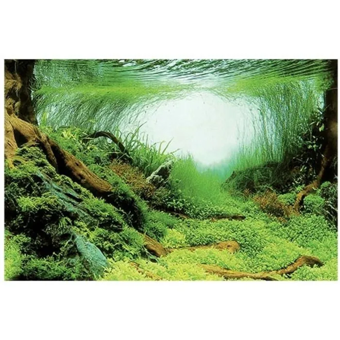 Superfish Superfish Deco Poster C5 120x61 cm