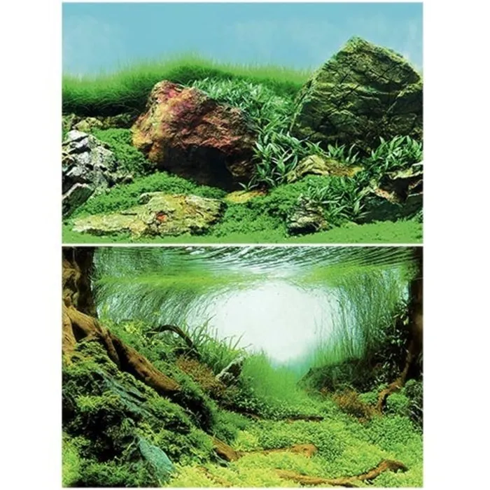 Superfish Superfish Deco Poster C2 60x49 cm