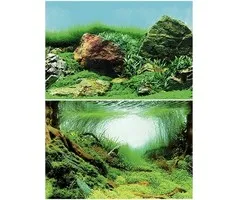Superfish Superfish Deco Poster C1 60x30 cm