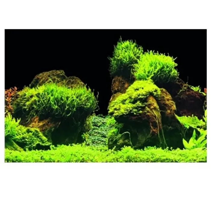 Superfish Superfish Deco Poster E2 60x49 cm